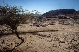 Africa;Cemetaries;Cemetary;Deserts;Djibouti;Graves;Graveyards;Islam;Kaleidos;Kaleidos-images;Landscapes;Muslims;Tarek-Charara;Tombs
