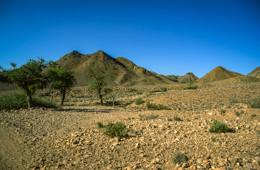 Africa;Deserts;Djibouti;Kaleidos;Kaleidos-images;Paysages;Tarek-Charara