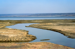 Africa;Djibouti;Kaleidos;Kaleidos-images;Lake-Abbe;Lake-Abhe-Bad;Tarek-Charara;Brooks;Water;Stream