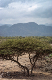 Africa;Afrique;Djibouti;Kaleidos;Kaleidos-images;Tarek-Charara