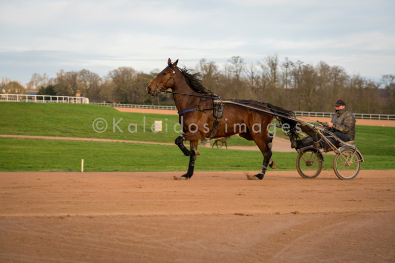 Domaine de Grosbois;Drivers;French Trotters;Grosbois;Harness racing;Horse;Horses;Kaleidos;Kaleidos images;Marolles-en-Brie;Sulkies;Sulky;Tarek Charara;Trot;Trotters;Trotting;Philippe Allaire