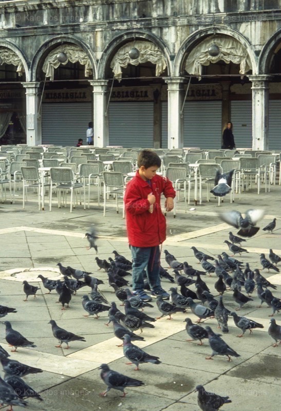 Boys;Désirée Sadek;Italy;Kaleidos images;La parole à l'image;Pigeons;Red;Venice