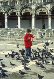 Boys;Désirée-Sadek;Italy;Kaleidos-images;La-parole-à-limage;Pigeons;Red;Venice