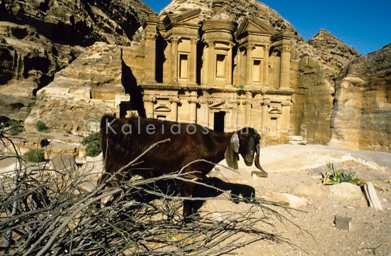 Tarek Charara;Kaleidos;Kaleïdos;Kaleidos images;Middle East;Middle-East;UNESCO;World Heritage;Graves;Tombs;History;Nabateans;Petra;Jordan;Goats