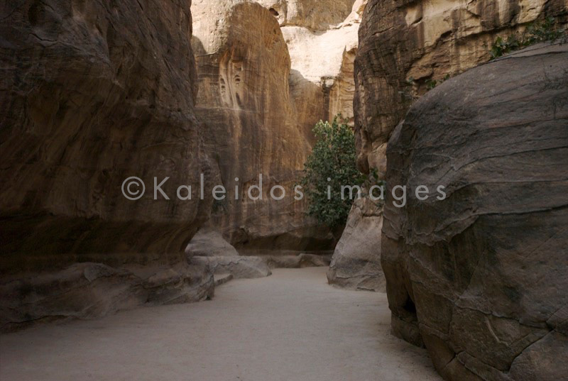 Tarek Charara;Kaleidos images;La parole à l'image;UNESCO;World Heritage;Siq;History;Nabateans;Petra;Jordan