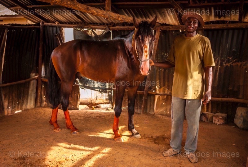 Africa;Benin;Danda;Horses;Kaleidos;Kaleidos images;La parole à l'image;Man;Men;Rafiou Owoni-Fari;Stables;Tarek Charara;Dongola