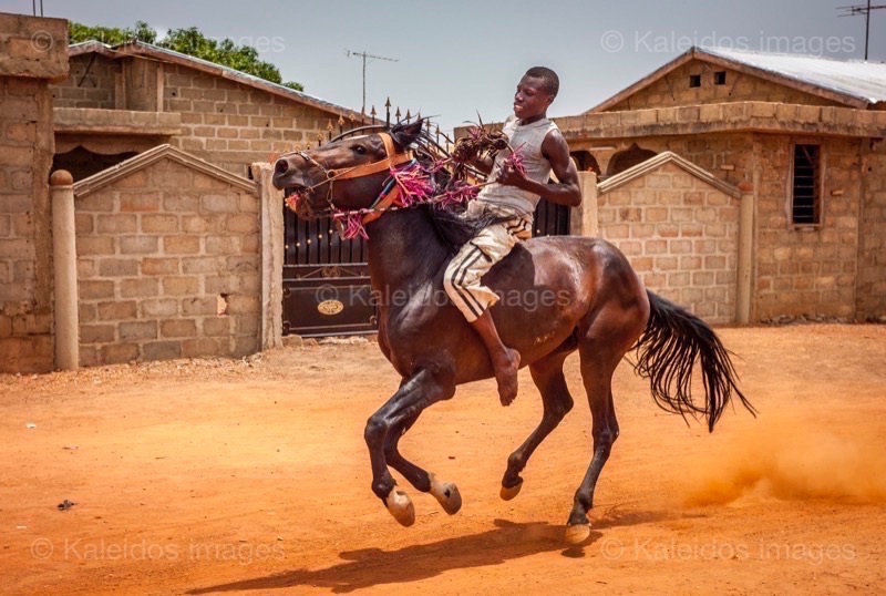 Africa;Benin;Danda;Gallop;Horses;Kaleidos;Kaleidos images;La parole à l'image;Man;Men;Riders;Tarek Charara;Dongola