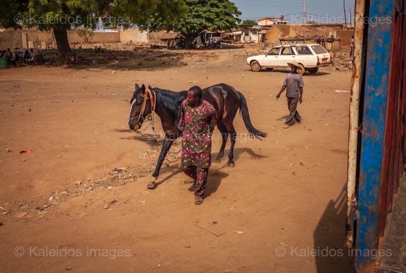 Africa;Benin;Danda;Horses;Kaleidos;Kaleidos images;La parole à l'image;Moussa Atta;Pehonko;Tarek Charara;Dongola