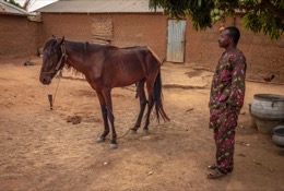 ;Moussa-Atta;Pehonko;Dongola