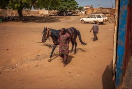Africa;Benin;Danda;Horses;Kaleidos;Kaleidos-images;La-parole-à-limage;Moussa-Atta;Pehonko;Tarek-Charara;Dongola