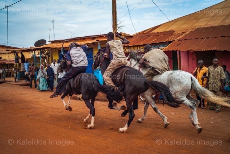Africa;Benin;Horses;Kaleidos;Kaleidos images;La parole à l'image;Race;Riders;Tarek Charara;Dongola