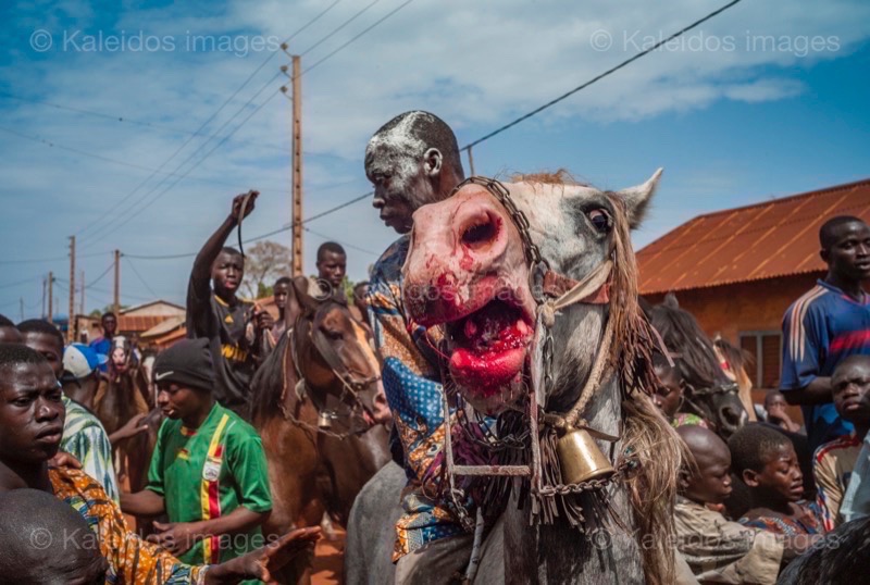 Africa;Benin;Horseman;Horsemen;Horses;Kaleidos;Kaleidos images;La parole à l'image;Riders;Souleiman Gnora;Tarek Charara;Dongola