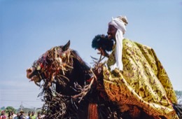 Africa;Afrique;Baatonbou;Baatonou;Bariba;Benin;Bénin;Cavaliers;Cheval;Chevaux;Gaani;Hommes;Horse;Horseman;Horsemen;Horses;Kaleidos;Kaleidos-images;La-parole-à-limage;Man;Men;Moussa-Atta;Riders;Tarek-Charara;Dongola