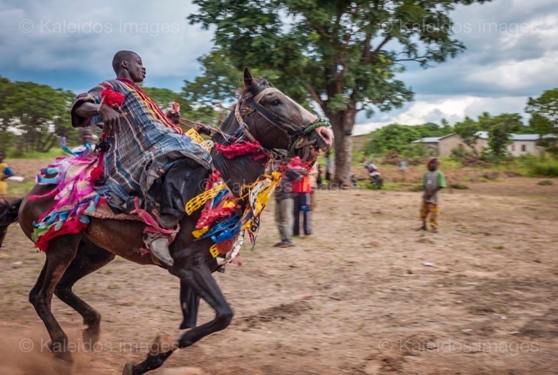 Africa;Benin;Horseman;Horsemen;Horses;Kaleidos;Kaleidos images;La parole à l'image;Riders;Tarek Charara