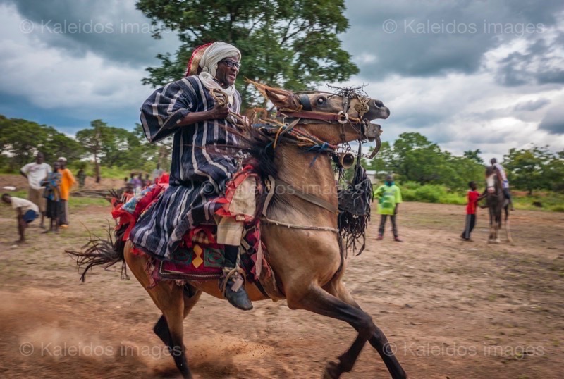 Africa;Ali;Benin;Horseman;Horsemen;Horses;Kaleidos;Kaleidos images;La parole à l'image;Riders;Tarek Charara