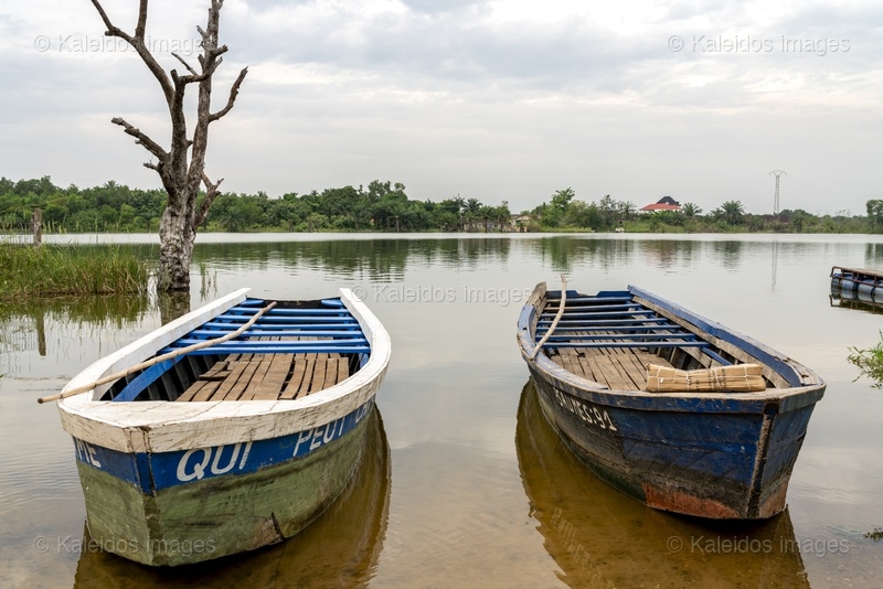 Lake Toho;Ouidah;Benin;West Africa;pirogue;wooden boat;dugout canoe;boat detail;oar;dead tree;lakeshore;artisanal fishing;traditional fishing;reflection;overcast sky;Tarek Charara;Kaleidos;Kaleidos images;La parole à l'image