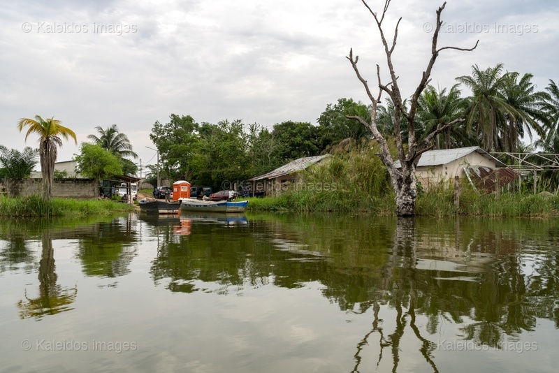 Lake Toho;Ouidah;Benin;West Africa;Tchiakpecodji Ahozon;landing stage;lake reflection;dead tree;calm water;pirogue;overcast sky;lakeshore;symmetry;lake landscape;rural Africa;Tarek Charara;Kaleidos;Kaleidos images;La parole à l'image
