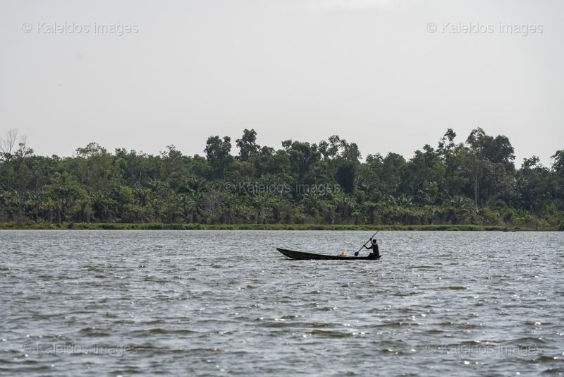 Lake Toho;Ouidah;Benin;West Africa;fisherman;pirogue;silhouette;paddle;lake landscape;open water;horizon;forest;solitude;traditional fishing;calm;Tarek Charara;Kaleidos;Kaleidos images;La parole à l'image