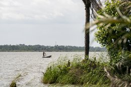 Lake-Toho;Ouidah;Benin;West-Africa;fisherman;pirogue;paddle;cast-net;standing-fisherman;tall-grass;palm-tree;lakeshore;traditional-fishing;depth-of-field;layered-composition;Tarek-Charara;Kaleidos;Kaleidos-images;La-parole-à-limage