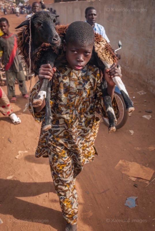 Africa;Benin;Boys;Kaleidos;Kaleidos images;La parole à l'image;Lamb;Sheep;Tarek Charara