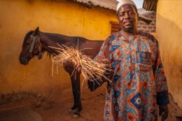 Africa;Benin;Dongola;Hay;Horses;Kaleidos;Kaleidos-images;La-parole-à-limage;Man;Men;Mohammed-Traoré;Straw;Tarek-Charara
