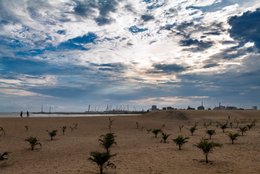 Benin;-Clouds;-Coastline;-Coconut-palms;-Corniche-Est;-Cotonou;-Cranes;-Dramatic-sky;-Dune;-Gulf-of-Benin;-Kaleidos;-Kaleidos-images;-La-parole-à-limage;-Palm-trees;-Port-of-Cotonou;-Replanting;-Sand;-Stories-Pictures;-Tarek-Charara;-West-Africa;-Young-coconut-palms