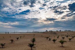 Beach;-Benin;-Clouds;-Coastline;-Coconut-palms;-Corniche-Est;-Cotonou;-Dramatic-sky;-Gulf-of-Benin;-Kaleidos;-Kaleidos-images;-La-parole-à-limage;-Palm-trees;-Port-of-Cotonou;-Replanting;-Sand;-Silhouettes;-Stories-Pictures;-Tarek-Charara;-West-Africa;-Young-coconut-palms