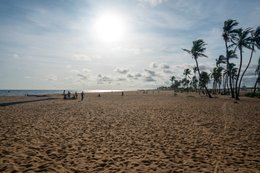 Afrique-de-lOuest;-Bénin;-Ciel-parsemé-de-nuages;-Cocotier-courbé;-Cotonou;-Étendue-de-sable;-Fidjrossè;-Golfe-de-Guinée;-Kaleidos;-Kaleidos-images;-La-parole-à-limage;-Littoral;-Plage;-Route-des-Pêches;-Sable;-Stories-Pictures;-Tarek-Charara;-Traces-de-pas;-Vent