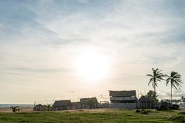 Afrique-de-lOuest;-Bénin;-Cabane;-Chaume;-Cotonou;-Fidjrossè;-Golfe-de-Guinée;-Kaleidos;-Kaleidos-images;-La-parole-à-limage;-Lumière-dorée;-Ouidah;-Paillote;-Palmier;-Route-des-Pêches;-Stories-Pictures;-Tarek-Charara;-Village-de-pêcheurs