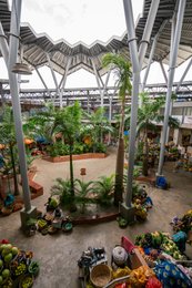 Africa;-Architecture;-Arte-Charpentier;-Benin;-CASA-A-ARCHI;-Central-courtyard;-Cotonou;-Elevated-view;-Fruit-and-vegetables;-Ganhi-market;-Kaleidos;-Kaleidos-images;-La-parole-à-limage;-Market;-Palm-tree;-Steel-roof-structure;-Stories-Pictures;-Tarek-Charara