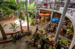 Africa;-Architecture;-Arte-Charpentier;-Benin;-CASA-A-ARCHI;-Cotonou;-Fruit-and-vegetables;-Ganhi-market;-Kaleidos;-Kaleidos-images;-La-parole-à-limage;-Market;-Palm-tree;-Parasol;-Stall;-Stories-Pictures;-Tarek-Charara;-View-from-above