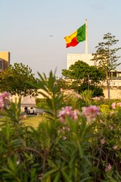 Benin;-Benin-flag;-Boulevard-de-la-Marina;-Cotonou;-Flowers;-Jardin-de-lAmazone;-Kaleidos;-Kaleidos-images;-La-parole-à-limage;-Presidential-Palace;-Stories-Pictures;-Tarek-Charara