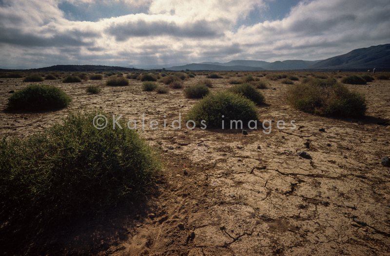 Africa;Desert;Deserts;Djibouti;Kaleidos;Kaleidos images;Landscapes;Tarek Charara
