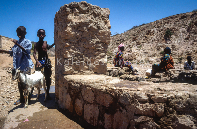 Africa;Children;Djibouti;Kaleidos;Kaleidos images;People;Tarek Charara;Water;Wells
