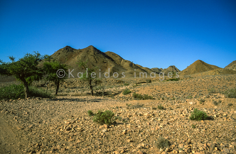 Africa;Deserts;Djibouti;Kaleidos;Kaleidos images;Paysages;Tarek Charara