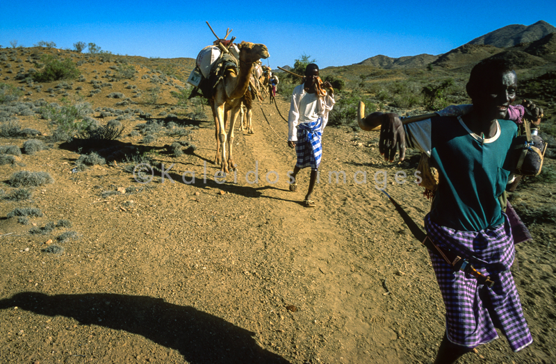 Africa;Caravans;Deserts;Djibouti;Dromedaries;Dromedary;Kaleidos;Kaleidos images;Man;Men;Tarek Charara