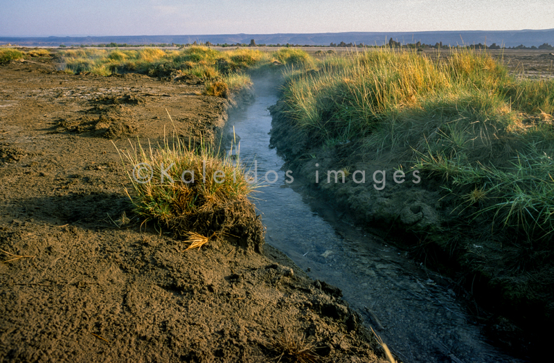 Africa;Djibouti;Kaleidos;Kaleidos images;Lake Abbe;Lake Abhe Bad;Tarek Charara;Brooks;Water;Stream