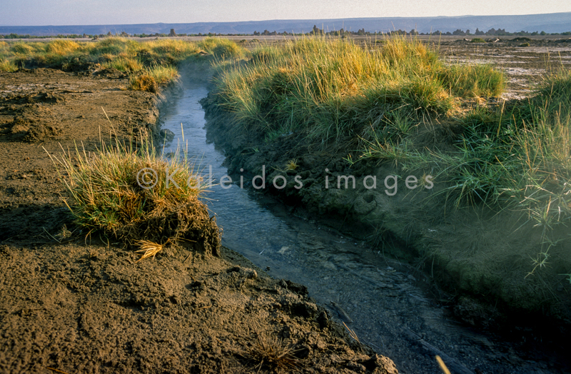 Africa;Djibouti;Kaleidos;Kaleidos images;Lake Abbe;Lake Abhe Bad;Tarek Charara;Brooks;Water;Stream