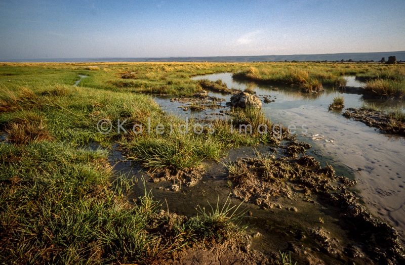 Africa;Djibouti;Kaleidos;Kaleidos images;Lake Abbe;Lake Abhe Bad;Tarek Charara;Brooks;Water;Stream