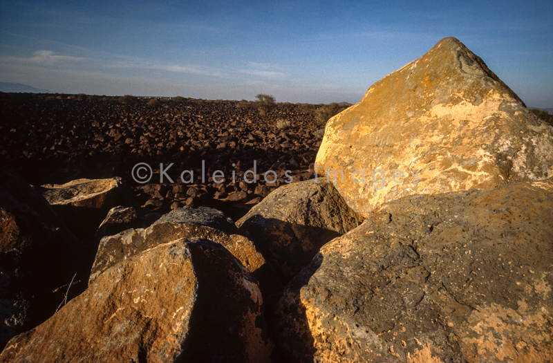 Africa;Afrique;Desert;Deserts;Djibouti;Désert;Déserts;Kaleidos;Kaleidos images;Landscapes;Paysage;Paysages;Qaid;Qaid Yar;Qaïd;Qaïd Yar;Rock;Rocks;Tarek Charara