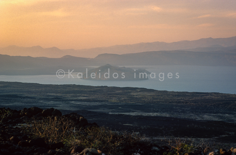 Africa;Afrique;Djibouti;Ghoubbet-el-Kharab;Ghoubet Kharab;Kaleidos;Kaleidos images;Landscapes;Paysage;Paysages;Qair;Qair Yar;Qaïr;Qaïr Yar;Tarek Charara
