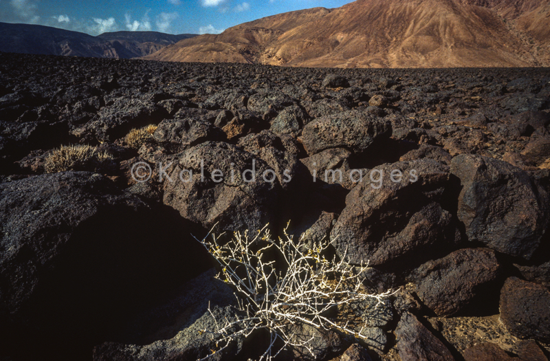 Africa;Afrique;Djibouti;Ghoubbet-el-Kharab;Ghoubet al-Kharab;Kaleidos;Kaleidos images;Landscapes;Paysages;Tarek Charara