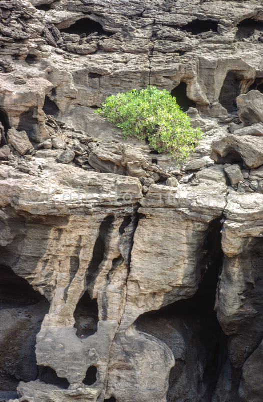 Africa;Afrique;Djibouti;Kaleidos;Kaleidos images;Landscapes;Paysages;Tarek Charara