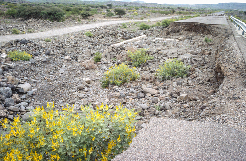 Africa;Afrique;Djibouti;Kaleidos;Kaleidos images;Tarek Charara