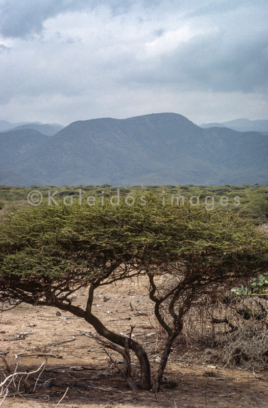 Africa;Afrique;Djibouti;Kaleidos;Kaleidos images;Tarek Charara