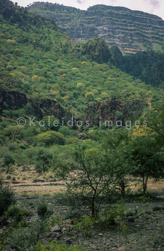Africa;Afrique;Djibouti;Kaleidos;Kaleidos images;Landscapes;Paysages;Tarek Charara