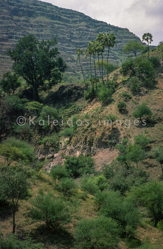 Africa;Afrique;Djibouti;Kaleidos;Kaleidos images;Landscapes;Paysages;Tarek Charara