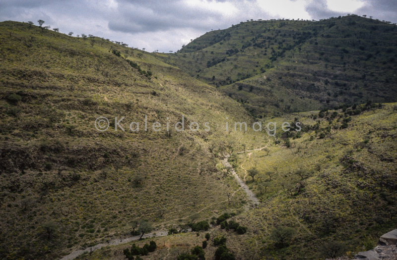 Africa;Afrique;Djibouti;Kaleidos;Kaleidos images;Landscapes;Paysages;Tarek Charara
