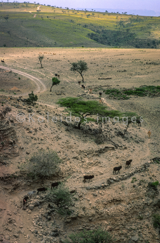 Africa;Afrique;Djibouti;Kaleidos;Kaleidos images;Landscapes;Paysages;Tarek Charara