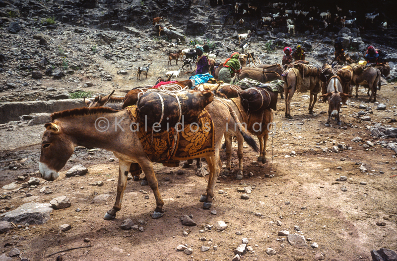 Africa;Afrique;Djibouti;Kaleidos;Kaleidos images;Tarek Charara